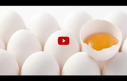 بالفيديو.. يتناول 50 بيضة نيئة في 17 ثانية