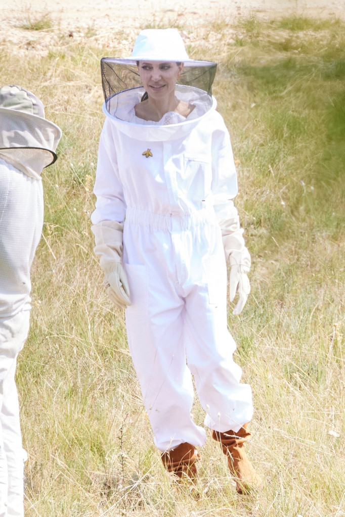 أنجلينا جولي في زي مربي النحل- الصورة من موقع Page 6