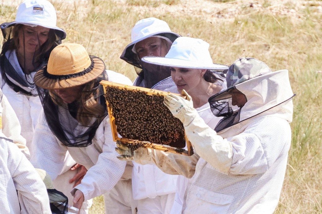 أنجلينا جولي ترعى النحل- الصورة من موقع Page 6