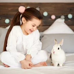 الصورة لطفلة  تنظر للأرنب بحب