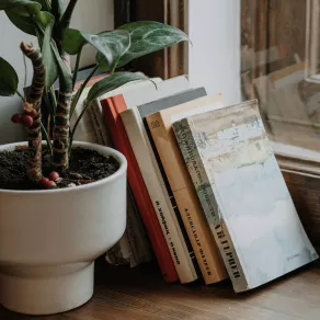 مجموعة من الكتب تستند إلى حائط بجوار النافذة وبجوارها أصيص زرع