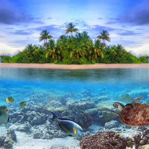 جزر المالديف هي من الوجهات الأكثر شعبية للغطس 
