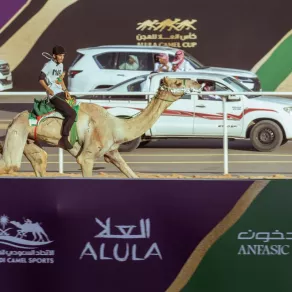 وزارة الثقافة تُشارك بجناح مبادرة عام الإبل 2024 في كأس العُلا للهجن  - الصورة من حساب الاتحاد السعودي للهجن على منصة إكس