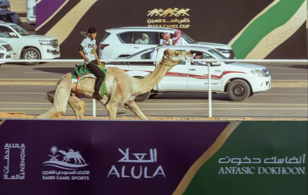 وزارة الثقافة تُشارك بجناح مبادرة عام الإبل 2024 في كأس العُلا للهجن  - الصورة من حساب الاتحاد السعودي للهجن على منصة إكس