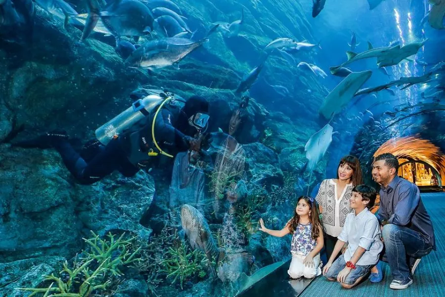 Dubai Aquarium &amp; Underwater Zoo.jpg