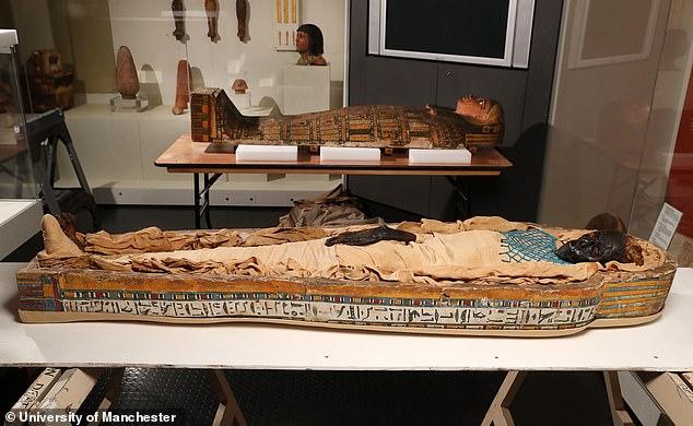 مومياءات مصرية مكتشفة