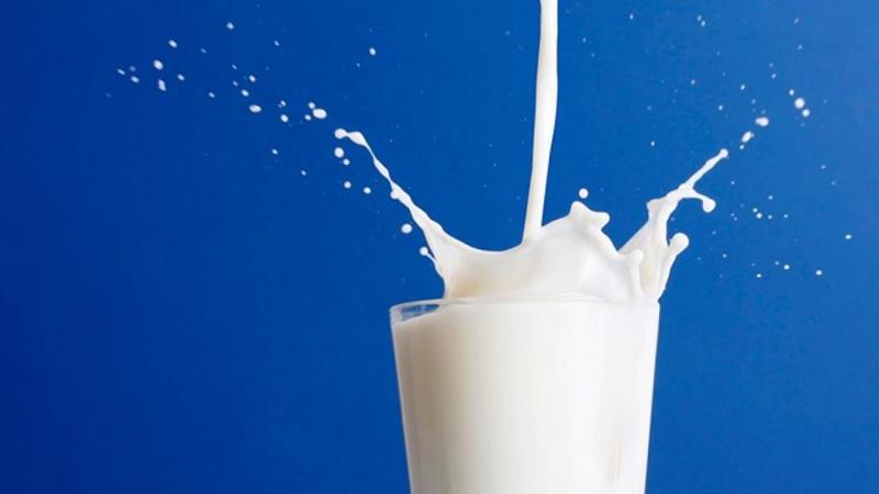 الحليب 