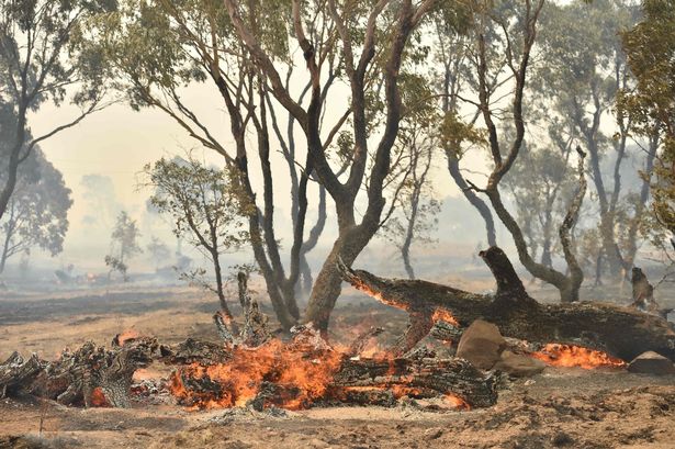 الحرائق دمرات وحرقت بلدات أسترالية كاملة