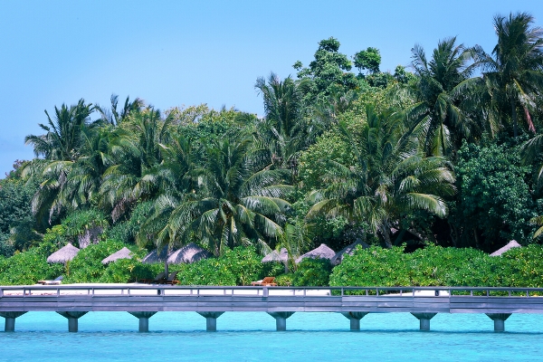 جزر المالديف في رحلة العمر
