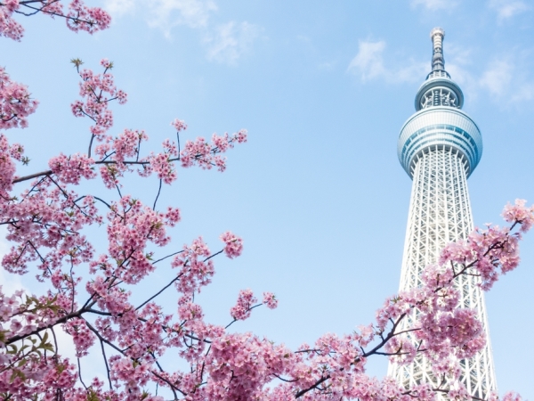 السياحة في طوكيو لذكريات تصمد طويلاً في الذاكرة  