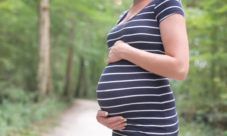 الحوامل يحتجن إلى كميات أكبر من البروتينات في اليوم