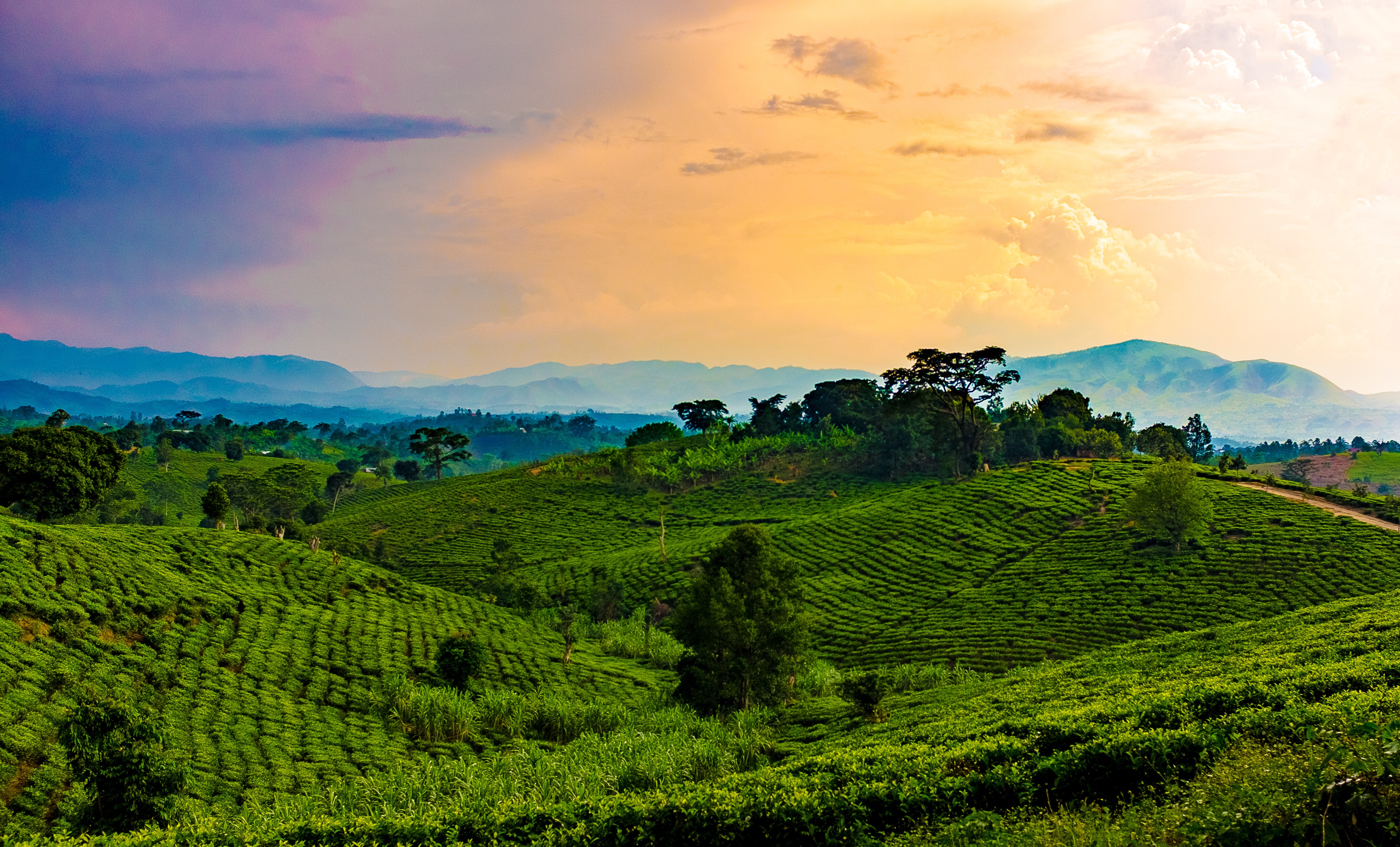السياحة في رواندا