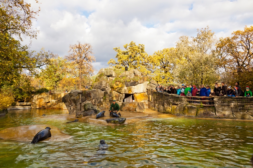جولة على أكبر حدائق الحيوانات لمناسبة اليوم العالمي للأحياء البرية Shutterstock_212233504