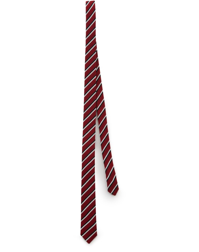 ربطة عنق من سيلين