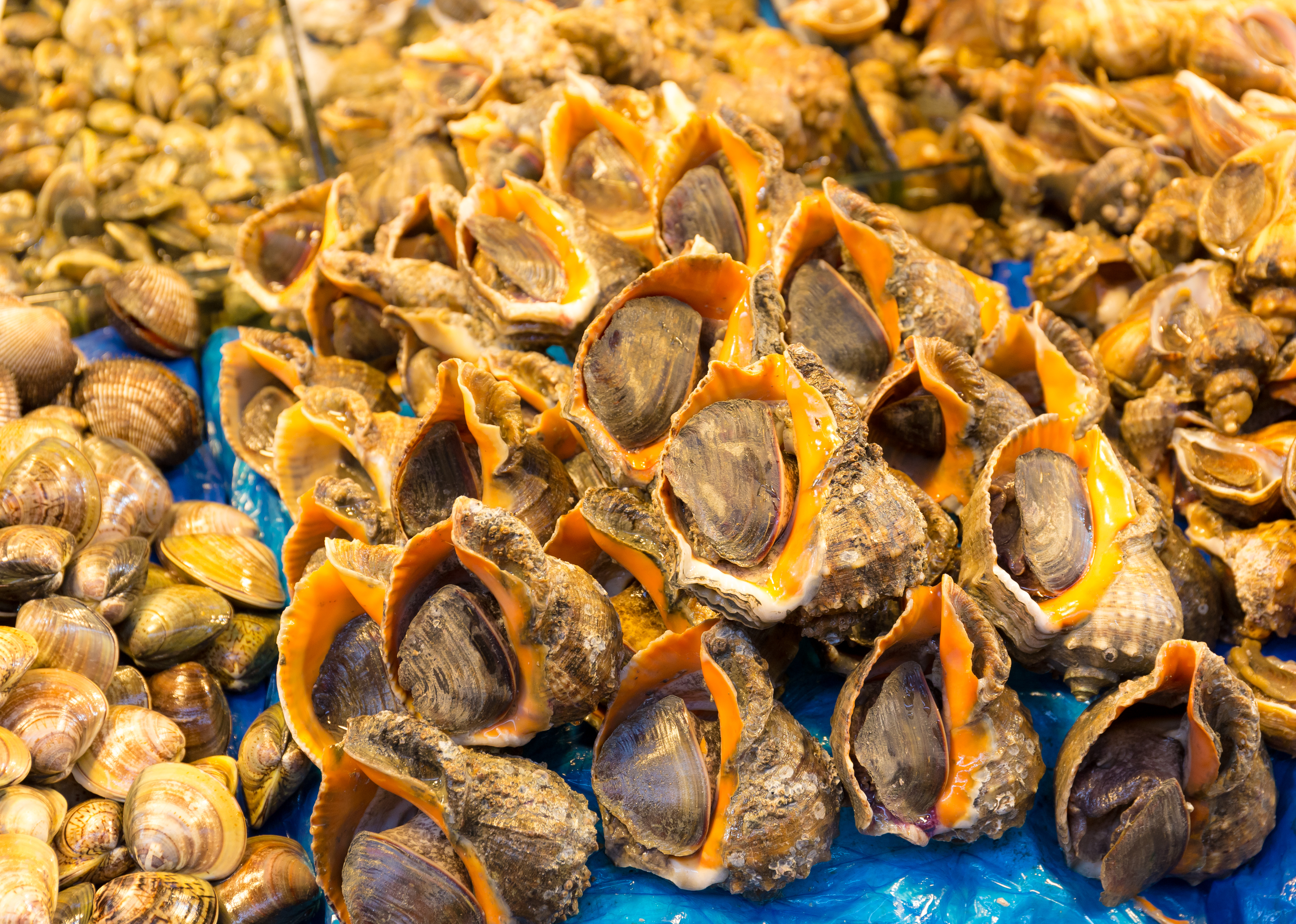 أفضل مناطق سياحية لمحبي الاكل 2021  Seafood-in-food-market-av5azpu