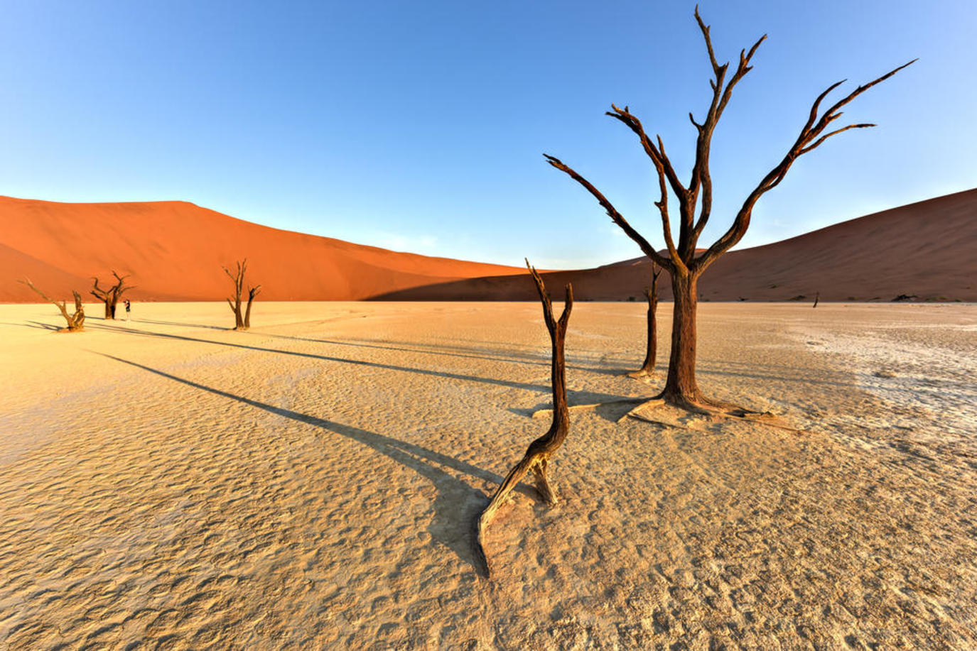 صحراء Desert Pavilion