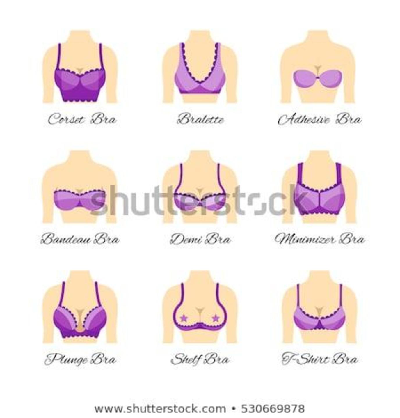 Виды сосков у девушки. Формы груди. Типы груди. Разновидности женской груди. Типы форм женской груди.