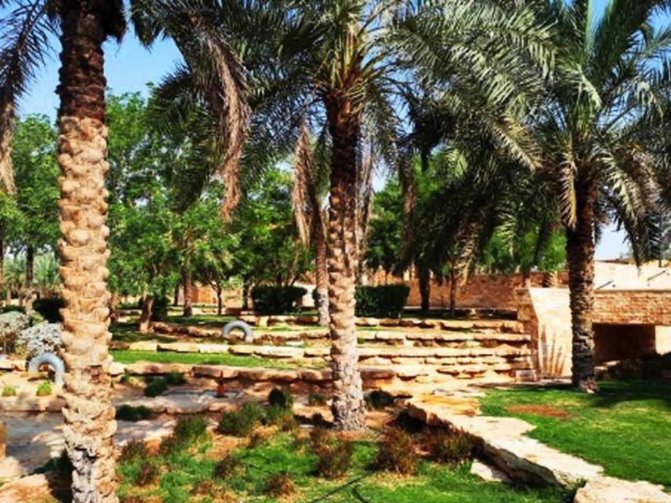 صورة حديقة الملك سلمان