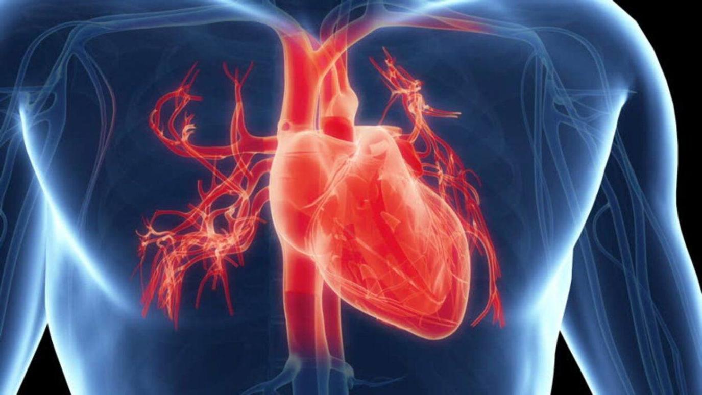 تطوير جهاز يشخص النوبات القلبية في أقل من 30 دقيقة فقط