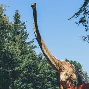 pexels-دراسة: كويكب قضى على الديناصورات "في أوج ازدهارها"