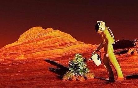 هل ستزرع الإمارات الفراولة على المريخ؟
