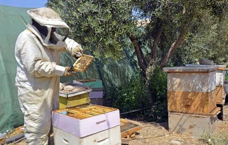 تقنية سعودية عالمية جديدة في عالم تربية النحل