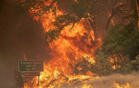 بعد كارثة اليونان.. «عواصف النيران» تجتاح ولاية كاليفورنيا الأمريكية