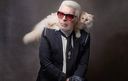 تعرفوا إلى القطة وريثة مصمم الأزياء الشهير كارل لاجرفيلد