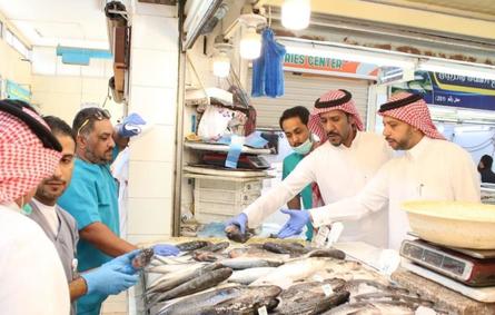 وزارة البيئة تضبط كميات من السمك الفاسد مجهول المصدر في الشرقية