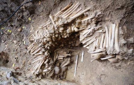 الكشف عن حائط مبني من عظام وجماجم بشرية في بلجيكا