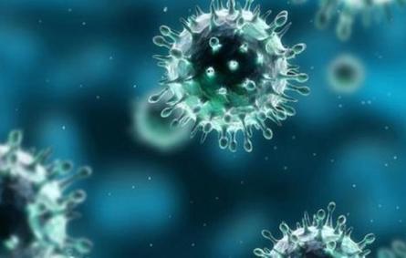 منظمة الصحة العالمية تعلن فيروس كورونا وباءً عالميًا