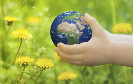 اليوم العالمي للبيئة.. السعي إلى «التنوع البيولوجي»