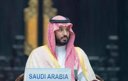 السعوديون والعرب يحتفون شعراً ونثراً بيوم ميلاد الأمير محمد بن سلمان