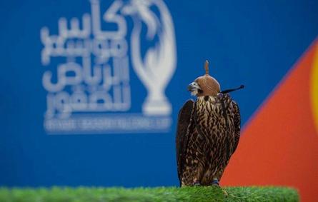 انطلاق كأس موسم الرياض للصقور