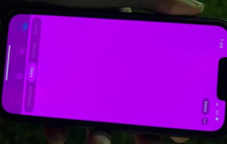 صورة شاشة وردية تسبب عطلا في آيفون 13