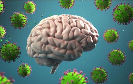  تأثير الإصابة الخفيفة بفيروس كورونا على الدماغ