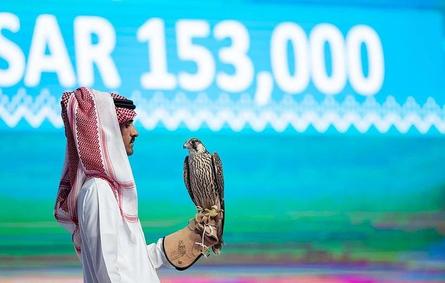 مبيعات مزاد نادي الصقور السعودي تتجاوزُ حاجز المليوني ريال. الصورة من "واس"
