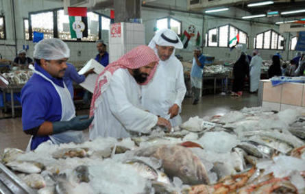 سوء الطقس في الإمارات يرفع أسعار الأسماك 50%
