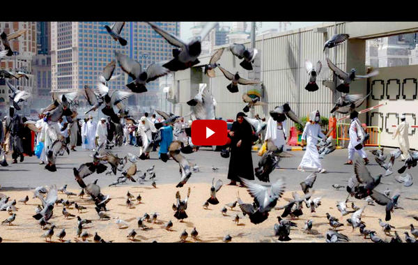بالفيديو.. البائعة المصفوعة في مكة تكشف تفاصيل الاعتداء عليها!