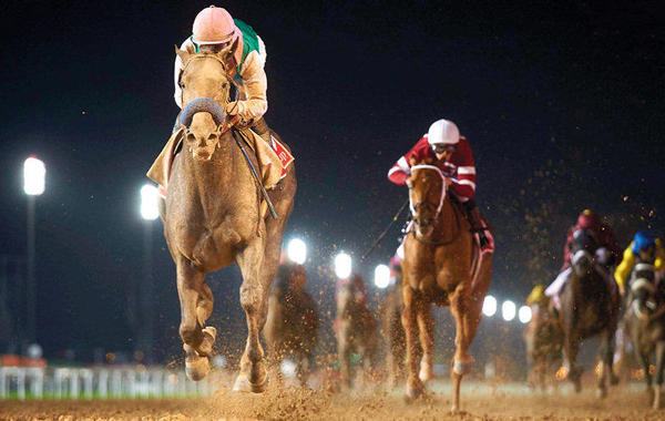 في دبي: أسرع على 30 مليون دولار تتسابق عليها خيول العالم