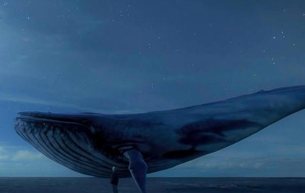 الحوت الأزرق.. اللعبة التي أرهقت المجتمعات