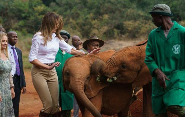 فيديو.. فيل يهاجم ميلانيا ترامب في نيروبي