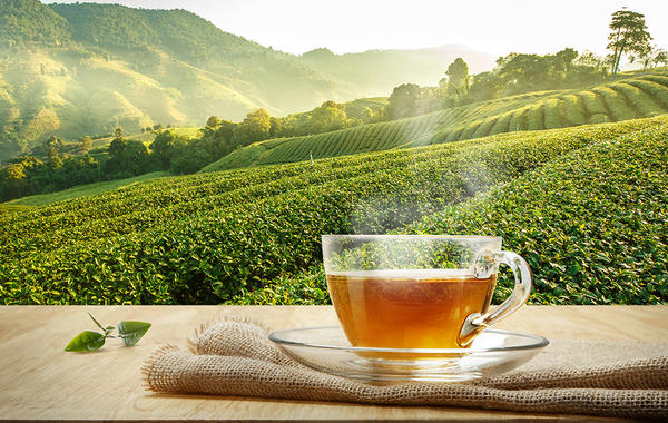 10 حقائق لا تعرفونها عن الشاي