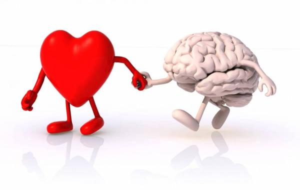 دراسة تحذر: ما يضر القلب يضر المخ أيضاً!