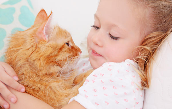 علامات تؤكد أن طفلك لديه حساسية للقطط | مجلة سيدتي