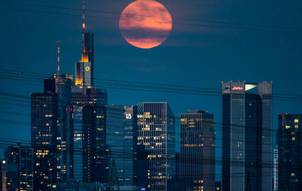 «قمر الفراولة» ملاذ عشاق التصوير على مدار ليلتين