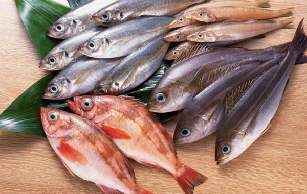 كيف تعرف الأسماك الطازجة من غيرها؟ الغذاء والدواء توضح