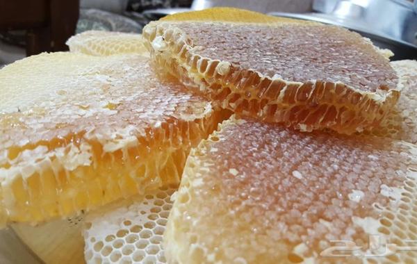 منتدى علمي عالمي عن صناعة النحل بالباحة بمشاركة 12 دولة