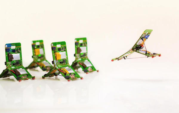 علماء يبتكرون روبوت مستلهم من «النملة» بوزن 10 غرامات!!