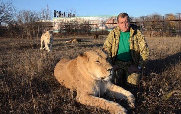حديقة حيوان روسية: تبنوا هذه الدببة أو سنضطر لقتلها!